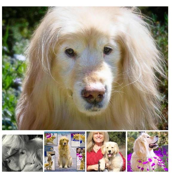 Meet your Posher, Kathy - Picture 1 of 1